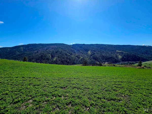 $340,000 | Lot 4 Quiet Hills Lane, Lenore, ID 83541