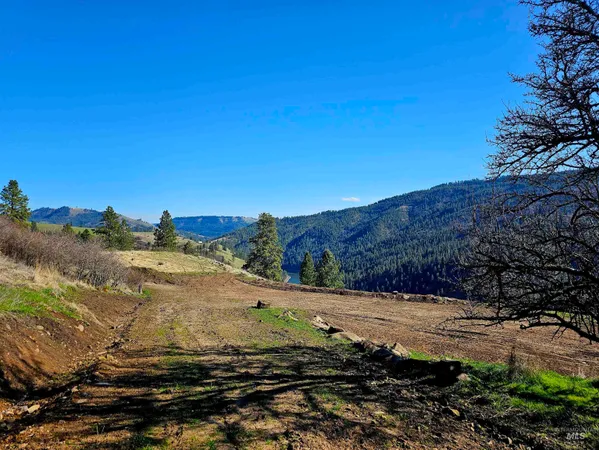 $340,000 | Lot 4 Quiet Hills Lane, Lenore, ID 83541