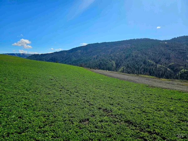$340,000 | Lot 4 Quiet Hills Lane, Lenore, ID 83541