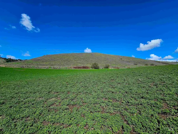 $340,000 | Lot 4 Quiet Hills Lane, Lenore, ID 83541