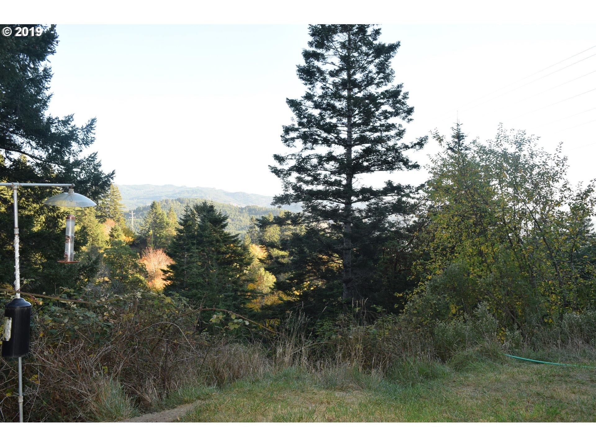 31750 Pedro Gulch Road Gold Beach, OR 97444 - Photo 1 of 12 Gallery Image 1