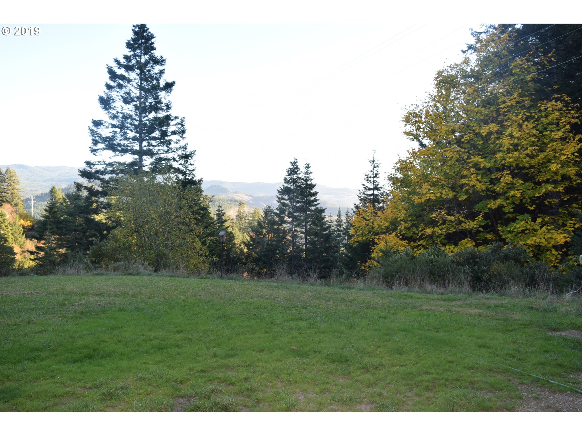31750 Pedro Gulch Road Gold Beach, OR 97444 - Photo 11 of 12 Gallery Image 11