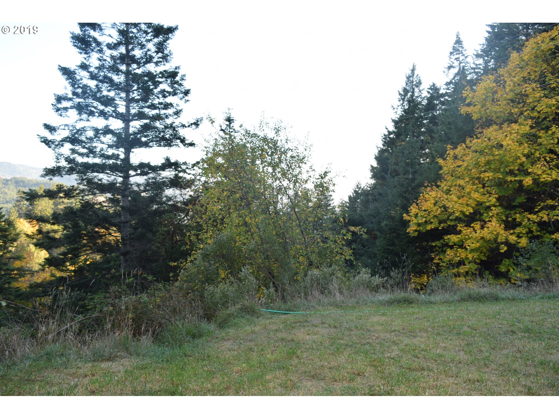 31750 Pedro Gulch Road Gold Beach, OR 97444 - Photo 12 of 12 Gallery Image 12