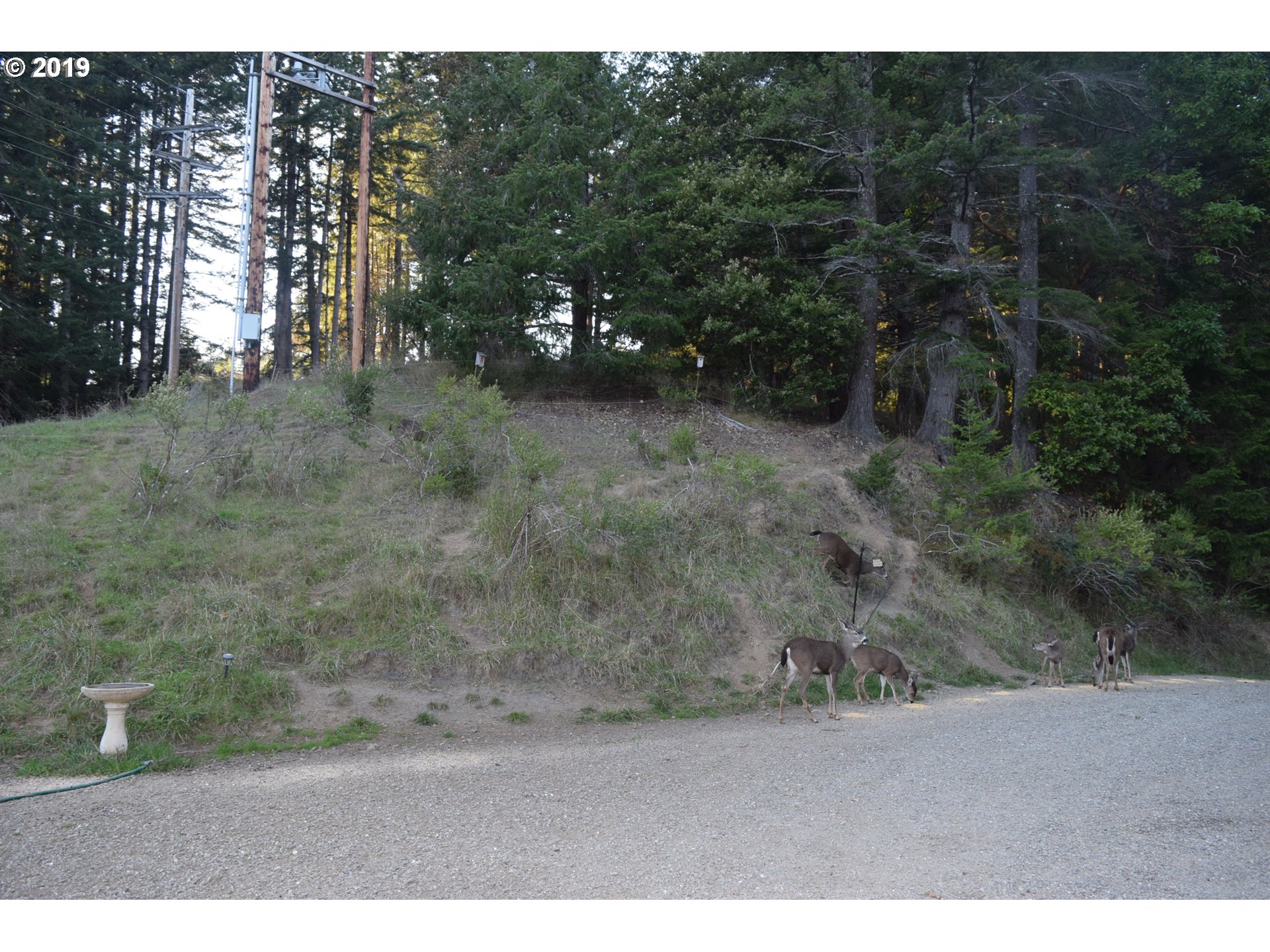 31750 Pedro Gulch Road Gold Beach, OR 97444 - Photo 5 of 12 Gallery Image 5