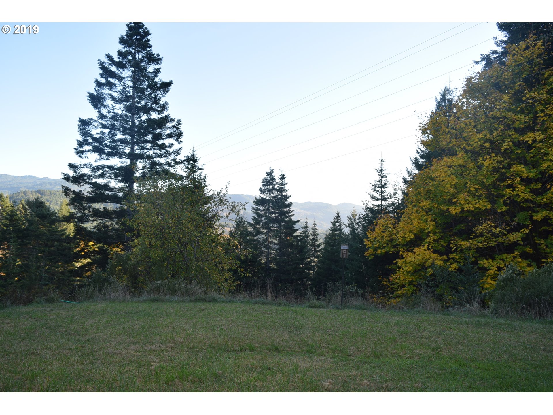 31750 Pedro Gulch Road Gold Beach, OR 97444 - Photo 6 of 12 Gallery Image 6