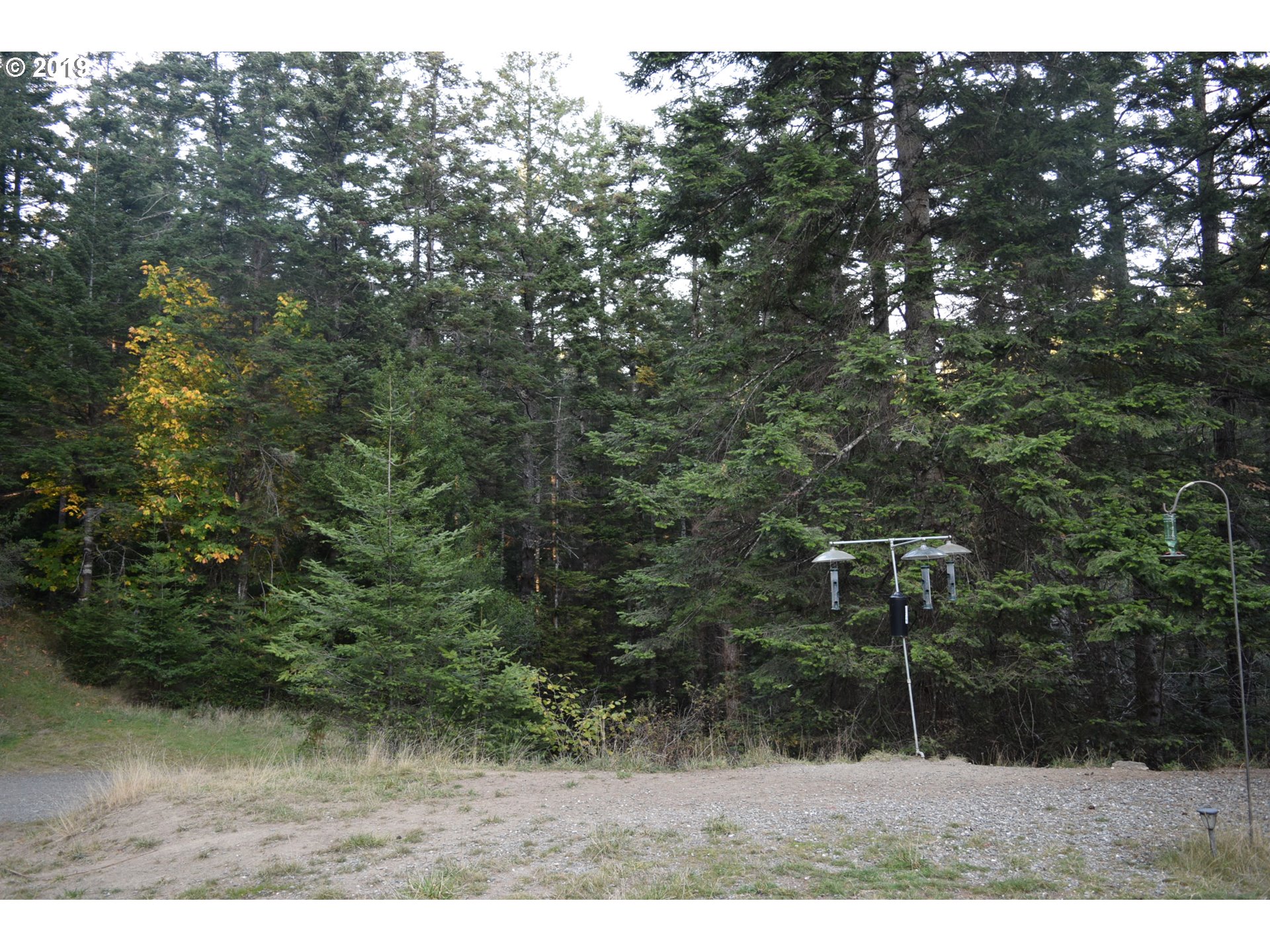 31750 Pedro Gulch Road Gold Beach, OR 97444 - Photo 7 of 12 Gallery Image 7