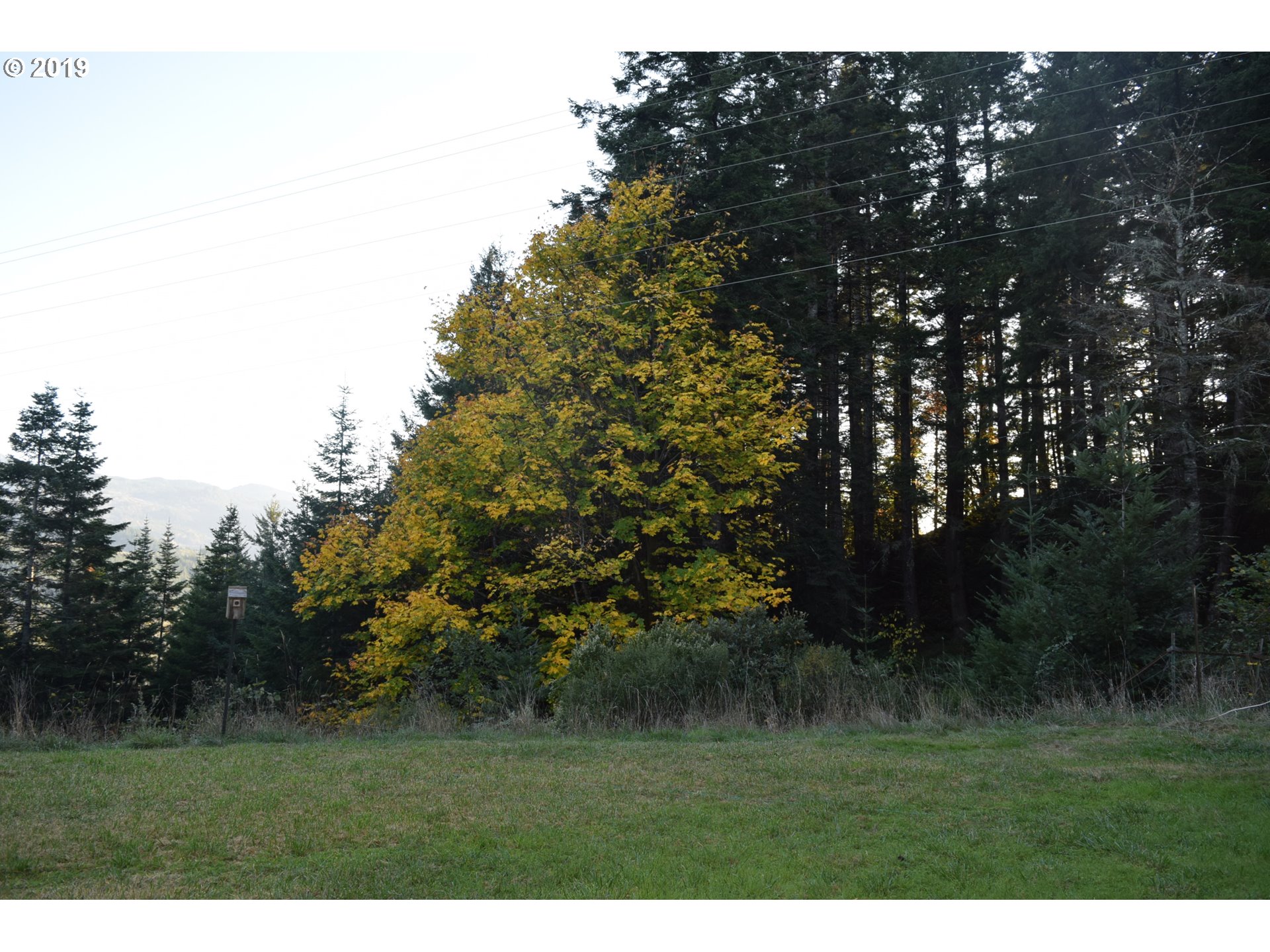 31750 Pedro Gulch Road Gold Beach, OR 97444 - Photo 10 of 12 Gallery Image 10
