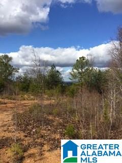 0 Henderson Lake Road, Unit 128 Munford, AL 36268 - Photo 16 of 31