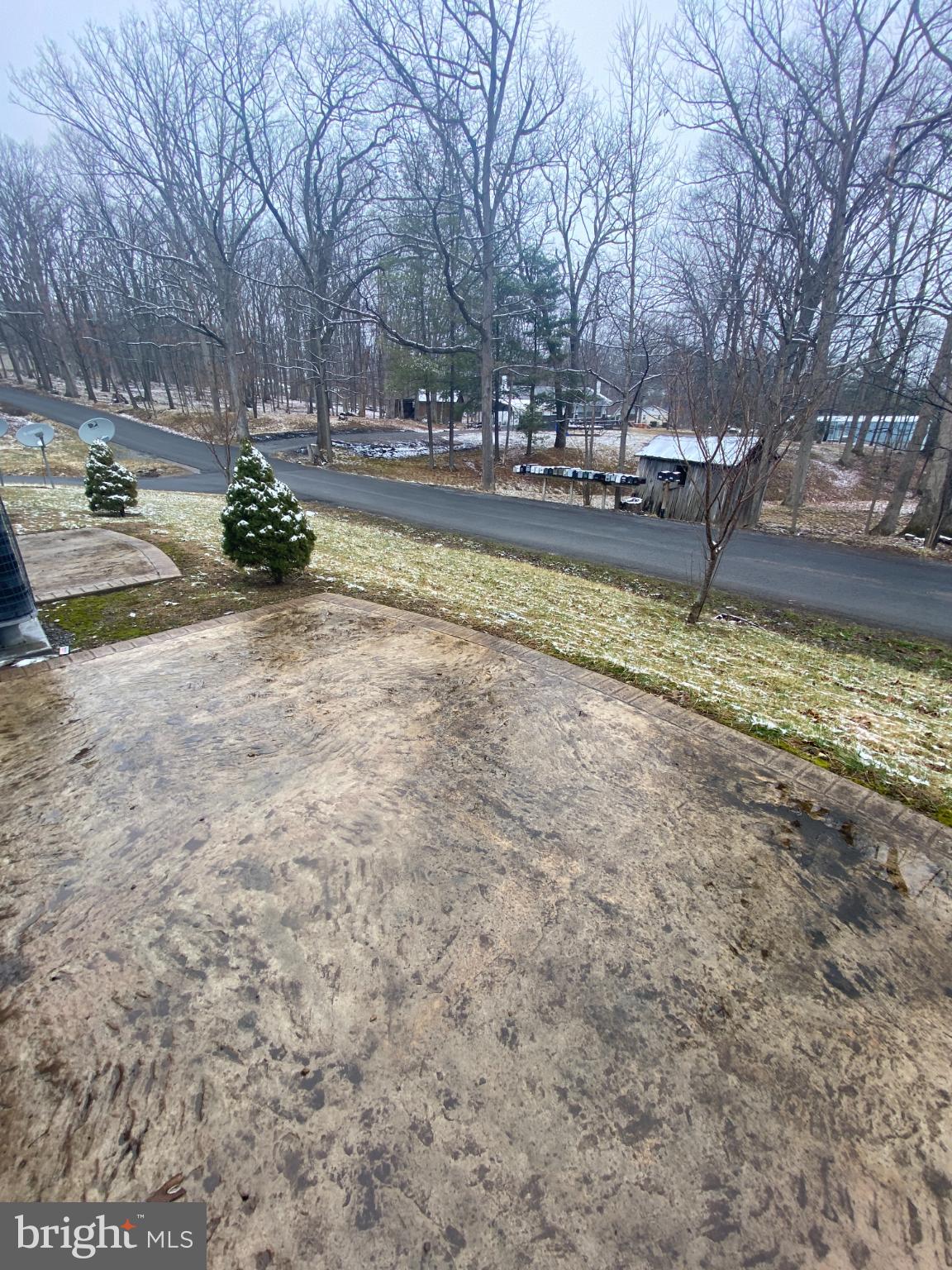 28 Holler Road, Unit 3 Keyser, WV 26726 - Photo 23 of 23 a view of yard with large trees