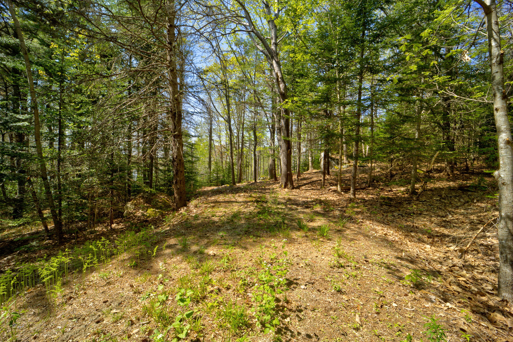 Tbd Frank's Flat Sedgwick, ME 04676 - Photo 22 of 54 Frank's Flat Land 4