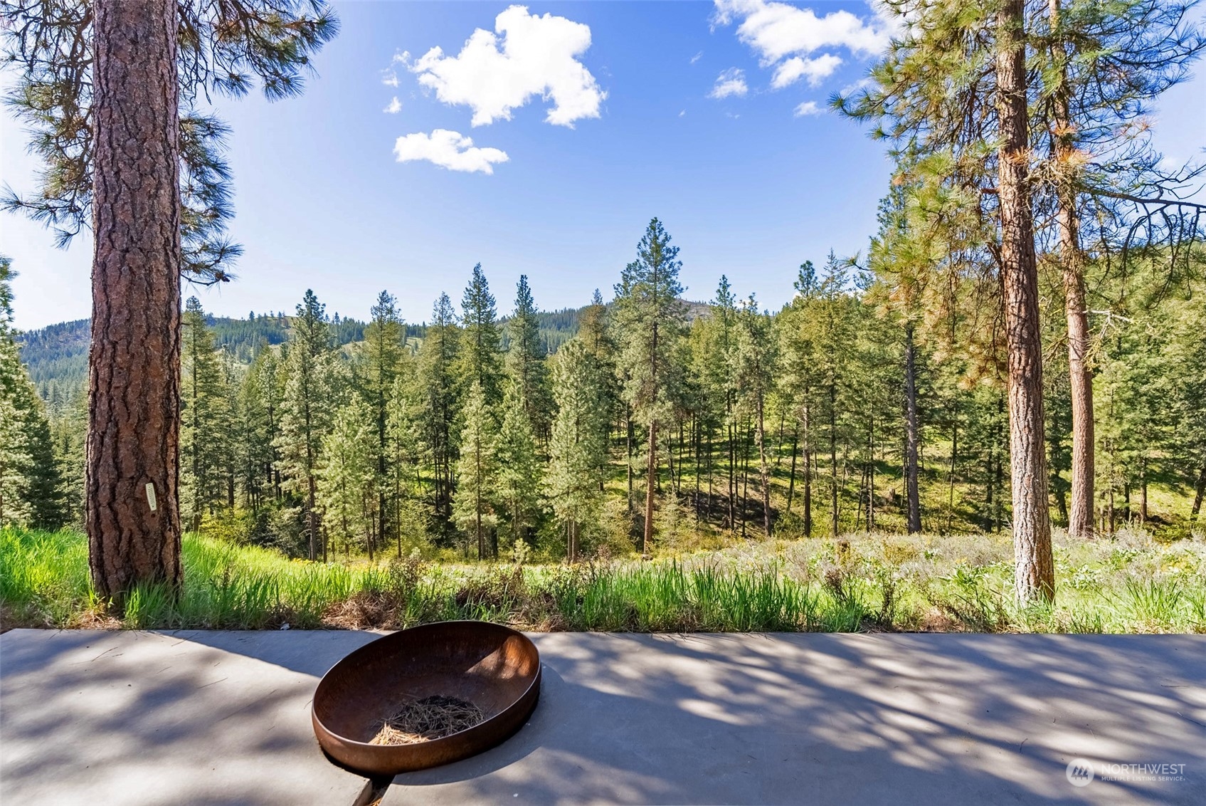 6 Nighthawk Ridge Road Winthrop, WA 98862 - Photo 11 of 40 Gallery Image 11