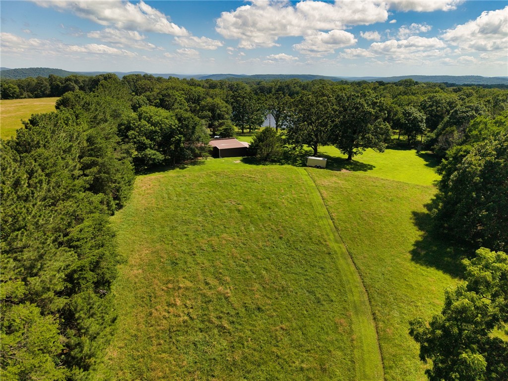 21019 Carter Road West Fork, AR 72774 - Photo 5 of 49 Expansive green acreage featuring a barn structure and mature trees