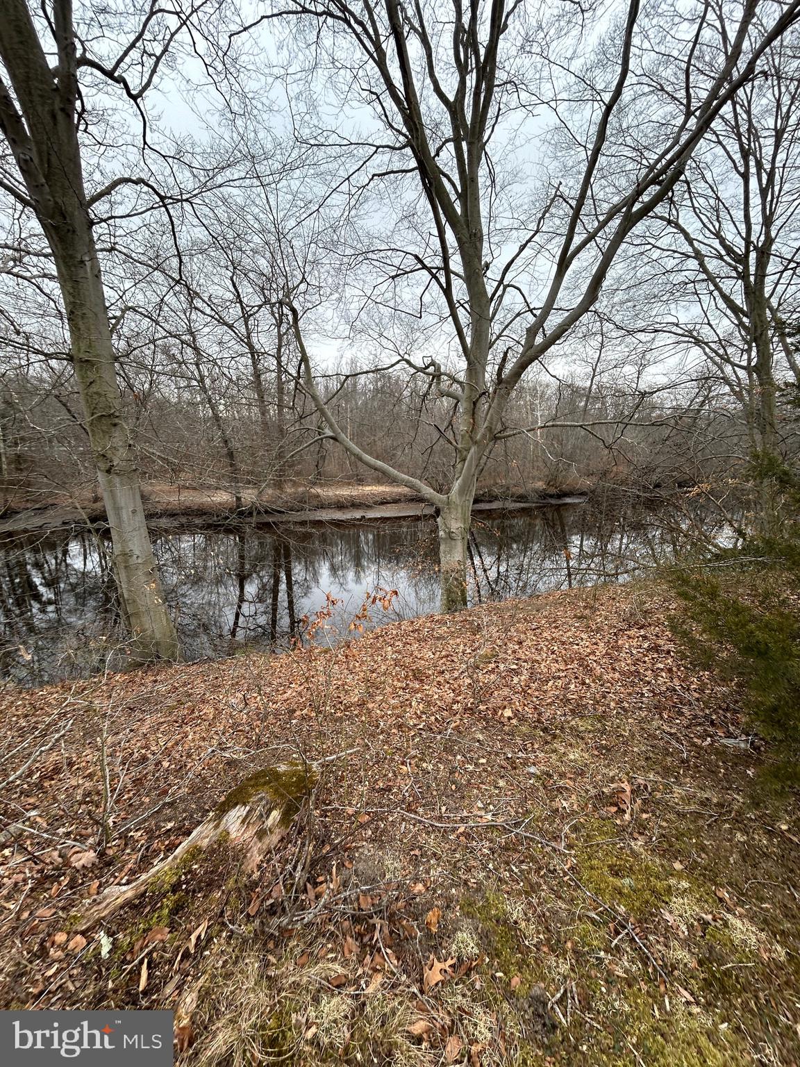 31729 West Edge Road Millington, MD 21651 - Photo 2 of 5 a backyard of a house with table and chairs