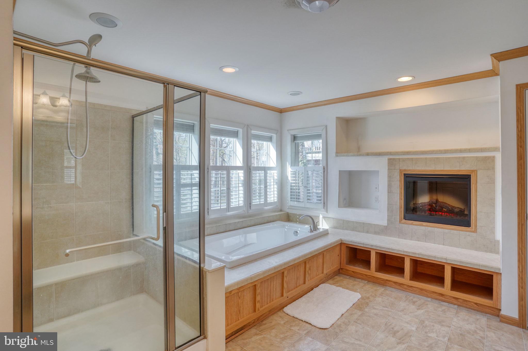 31729 West Edge Road Millington, MD 21651 - Photo 23 of 60 En-suite bath with fireplace!