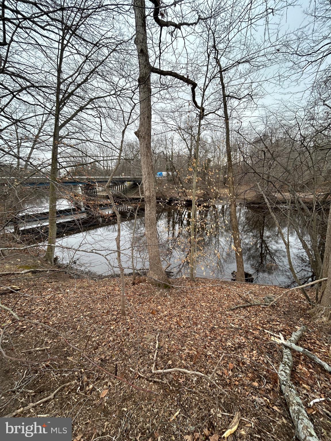 31729 West Edge Road Millington, MD 21651 - Photo 3 of 5 a view of a yard with trees
