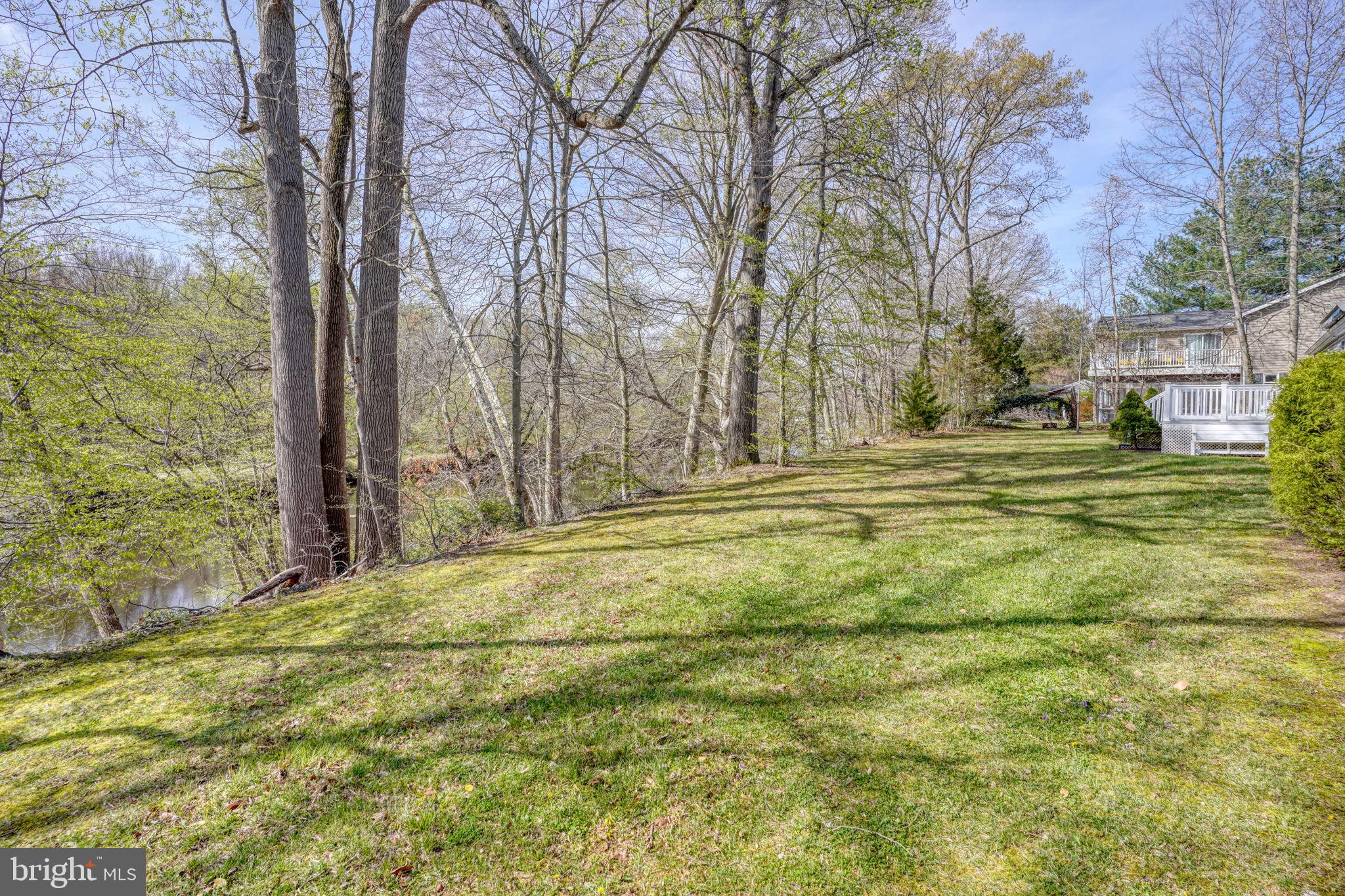 31729 West Edge Road Millington, MD 21651 - Photo 54 of 60 Back yard