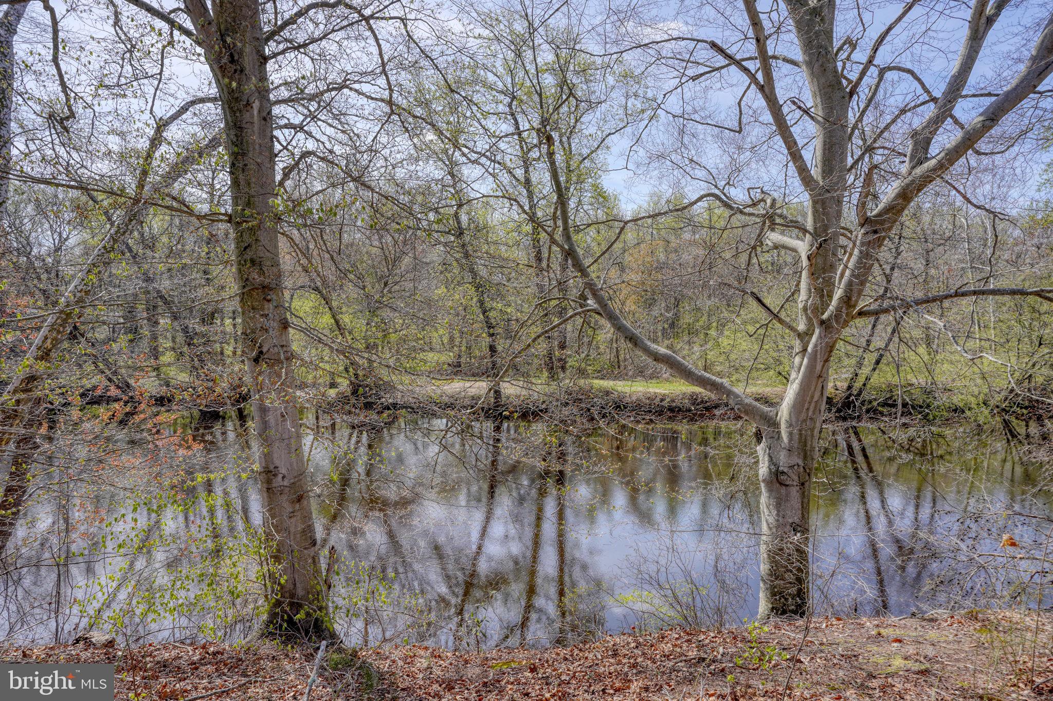 31729 West Edge Road Millington, MD 21651 - Photo 59 of 60 Schedule your showing today!