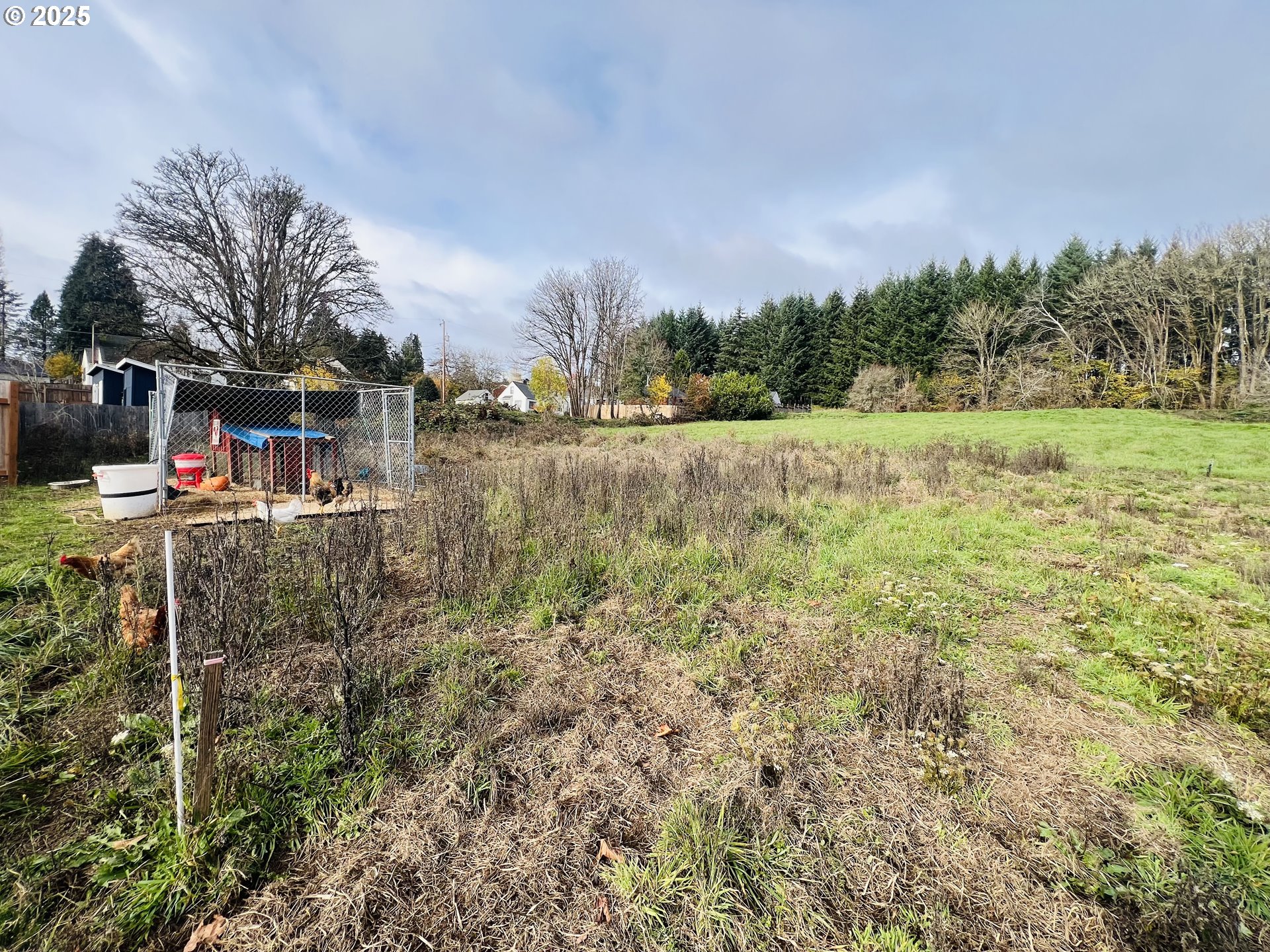 0 Northeast 4th Street Willamina, OR 97396 - Photo 4 of 9