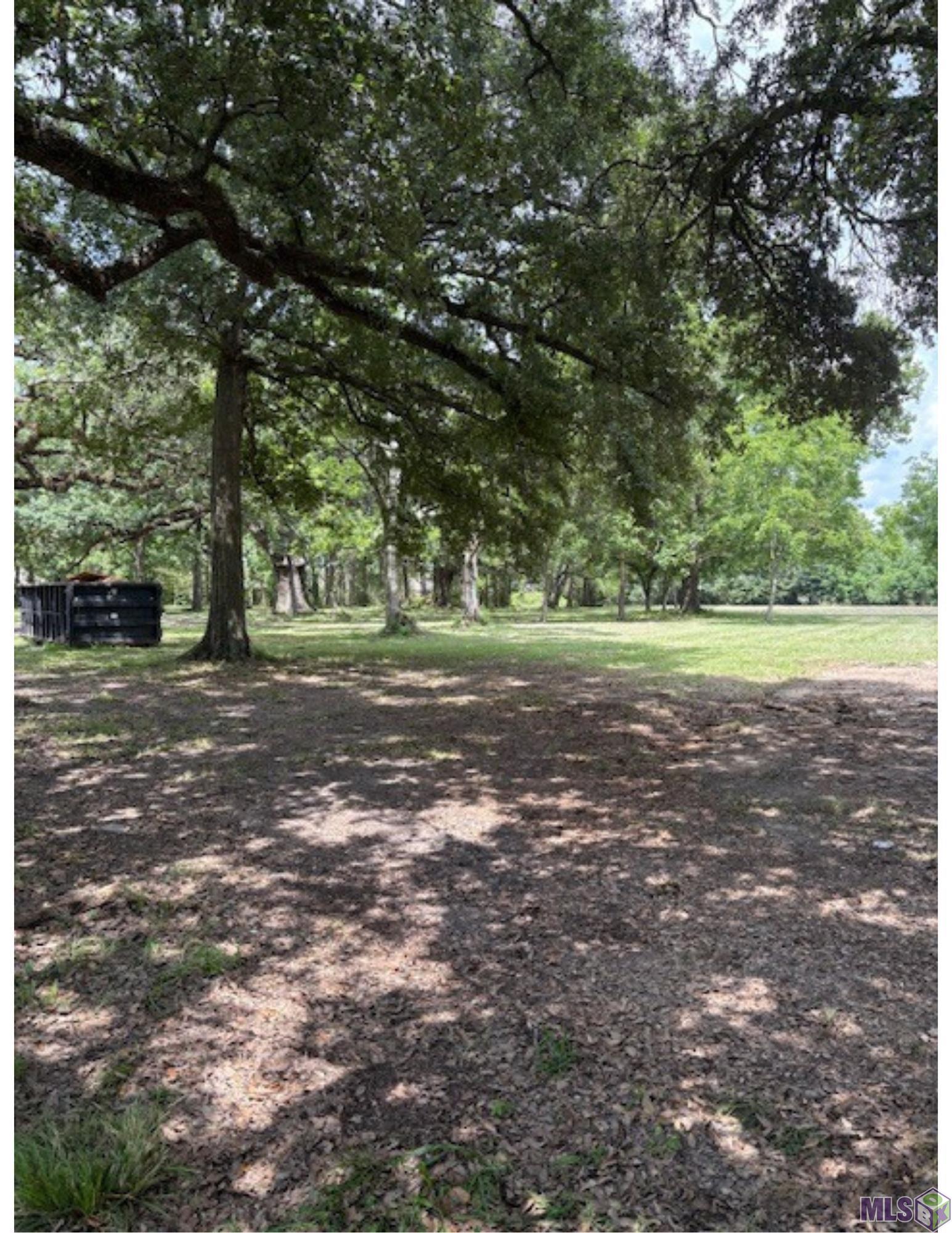 15040 Highway 73 Prairieville, LA 70769 - Photo 3 of 7