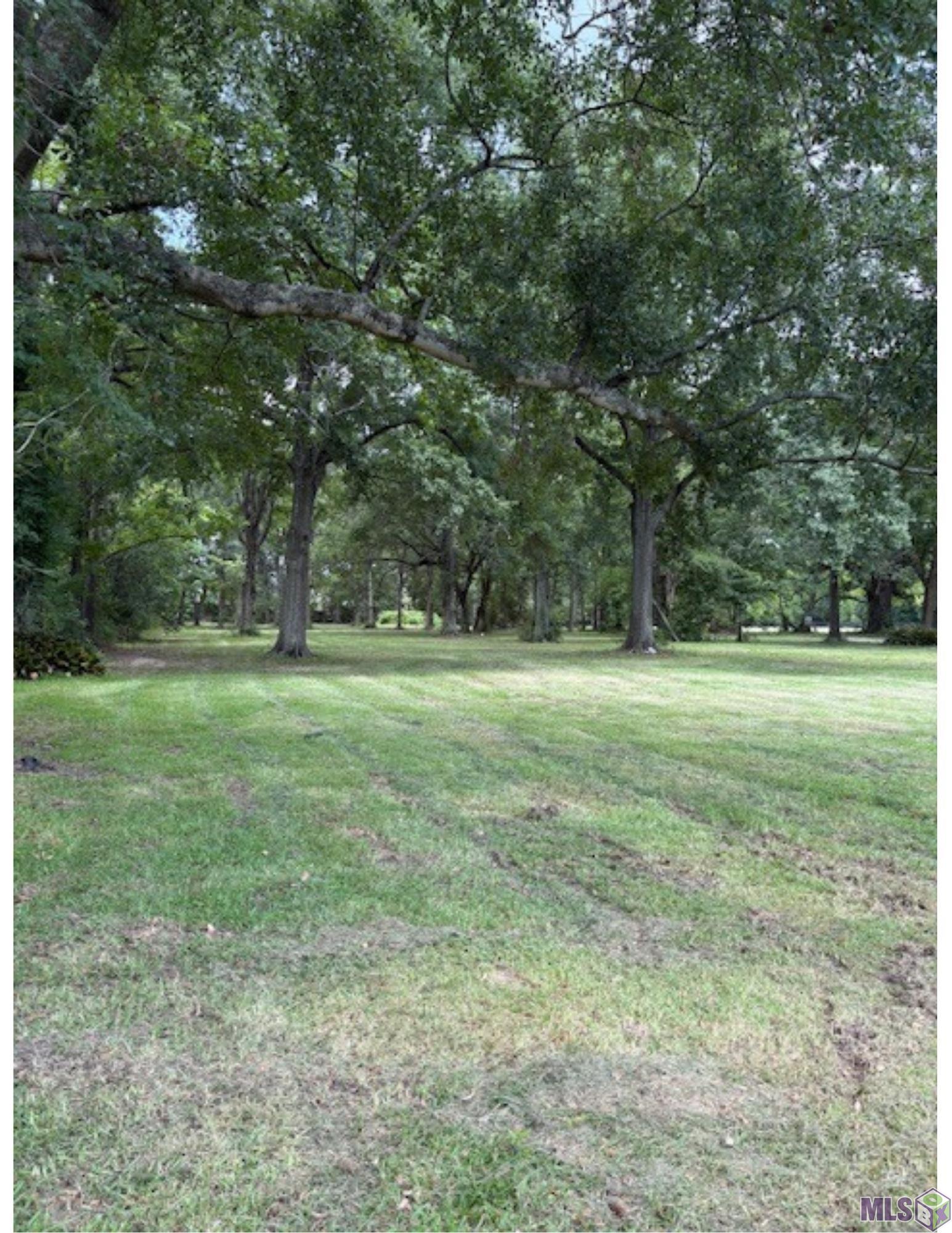 15040 Highway 73 Prairieville, LA 70769 - Photo 5 of 7