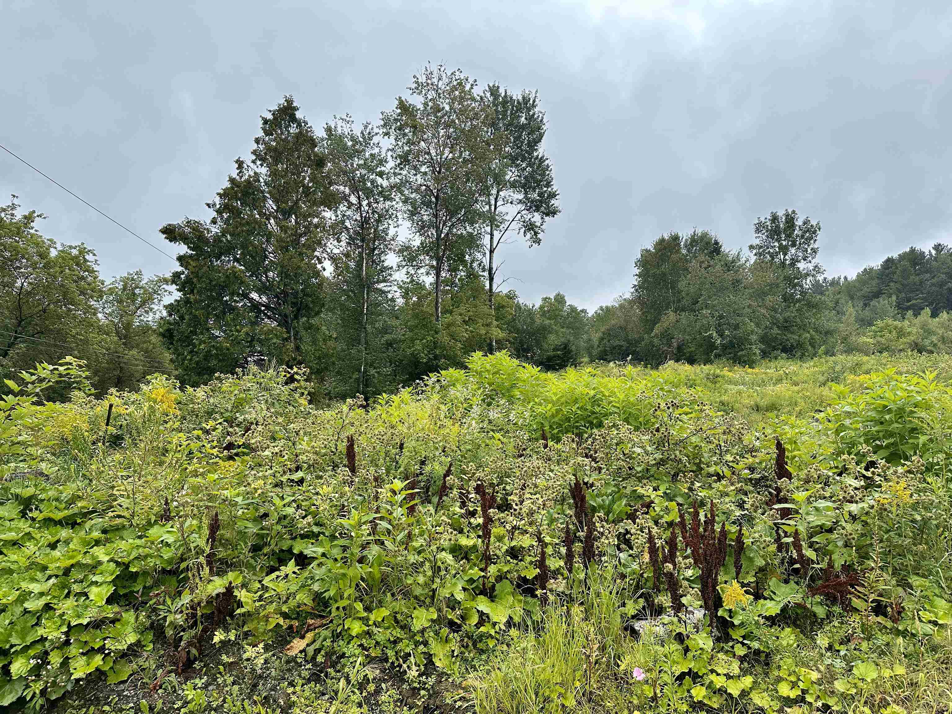 120 Sinclair Road Johnson, VT 05656 - Photo 27 of 31