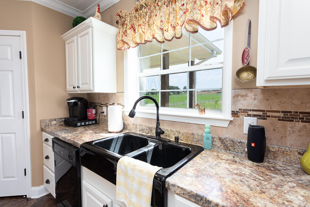 1462 Patty Road Delano, TN 37325 - Photo 13 of 61 Kitchen (4)