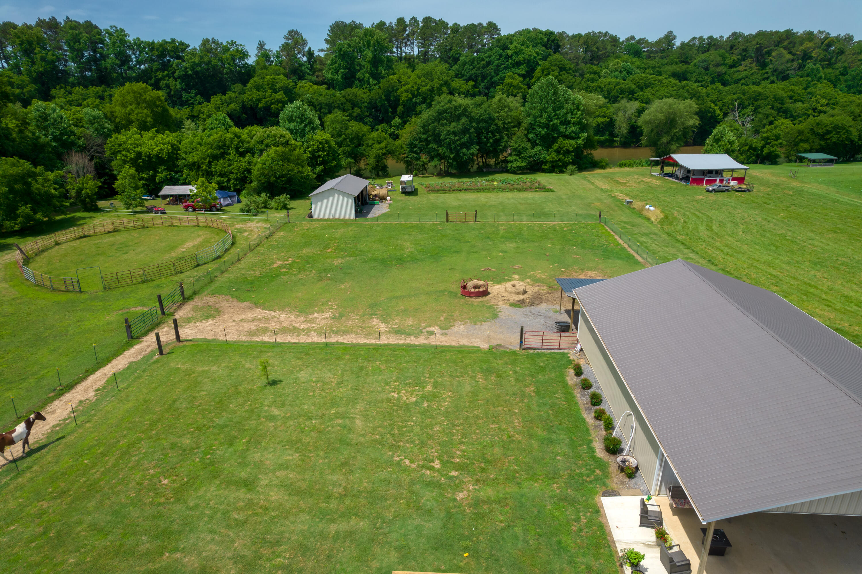 1462 Patty Road Delano, TN 37325 - Photo 33 of 61 DJI_0023