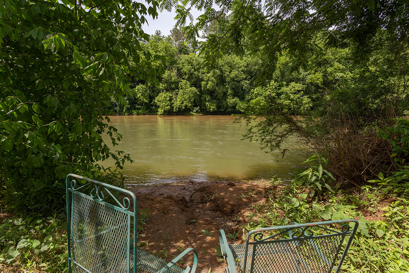 1462 Patty Road Delano, TN 37325 - Photo 4 of 61 IMG_0188