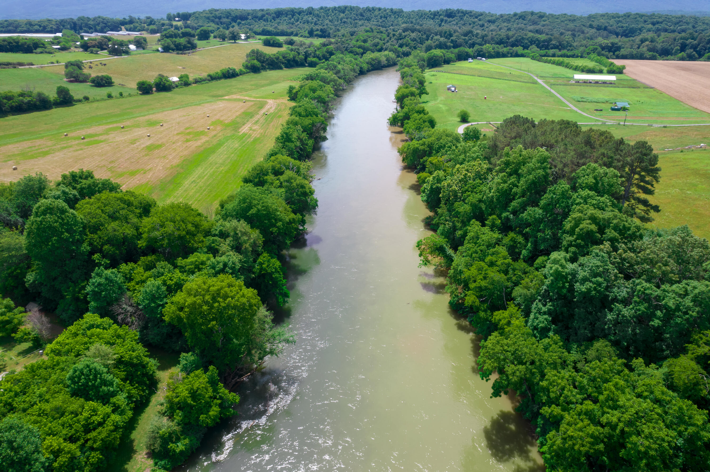 1462 Patty Road Delano, TN 37325 - Photo 42 of 61 DJI_0991