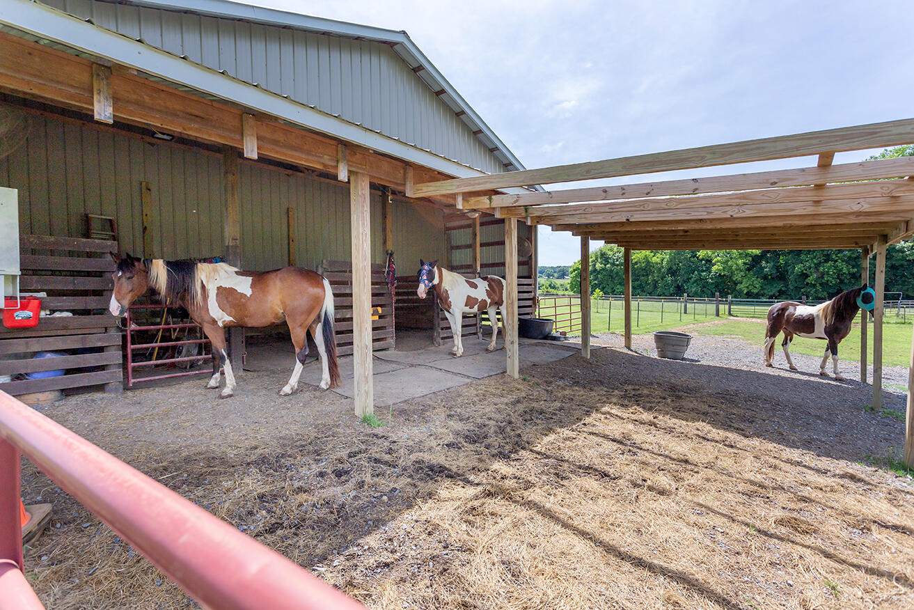 1462 Patty Road Delano, TN 37325 - Photo 49 of 61 IMG_0158