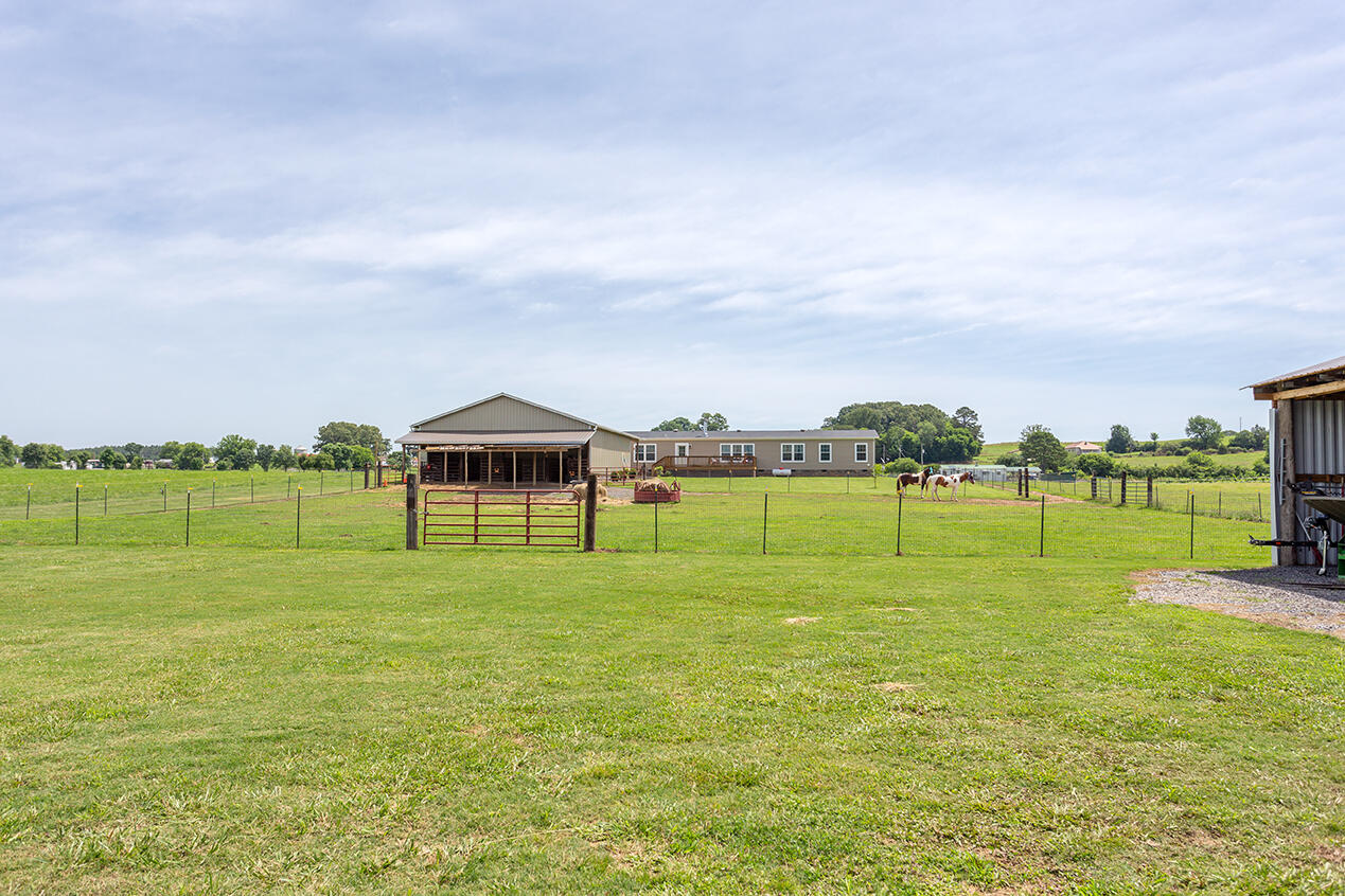 1462 Patty Road Delano, TN 37325 - Photo 56 of 61 IMG_0198