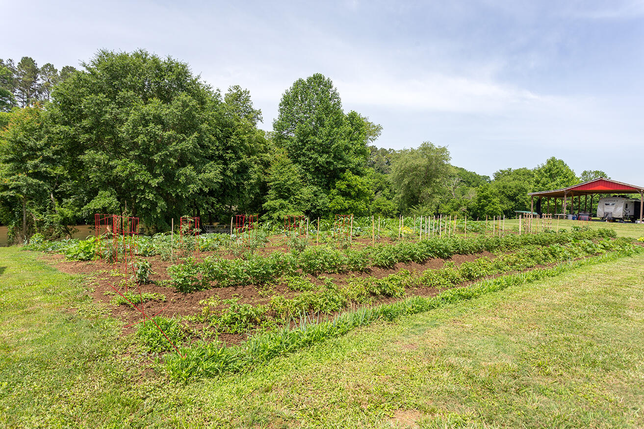 1462 Patty Road Delano, TN 37325 - Photo 57 of 61 IMG_0201