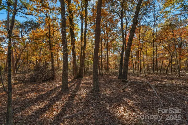 a view of outdoor space and trees