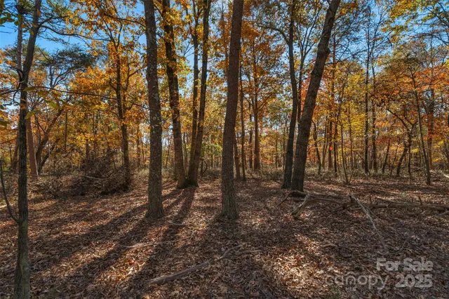 a view of outdoor space and trees