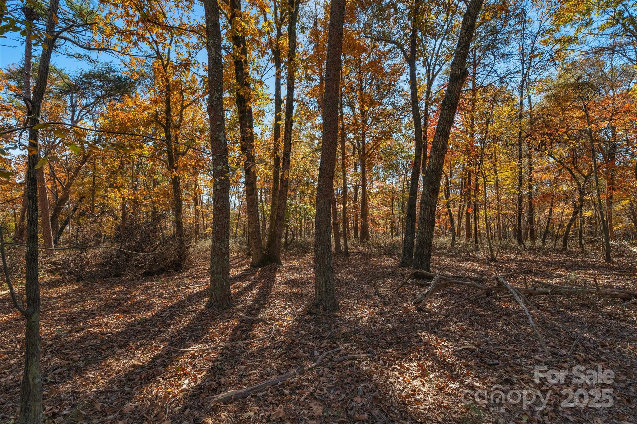 0 Bud Davis Road, Unit 2 Vale, NC 28168 - Photo 12 of 28 a view of outdoor space and trees