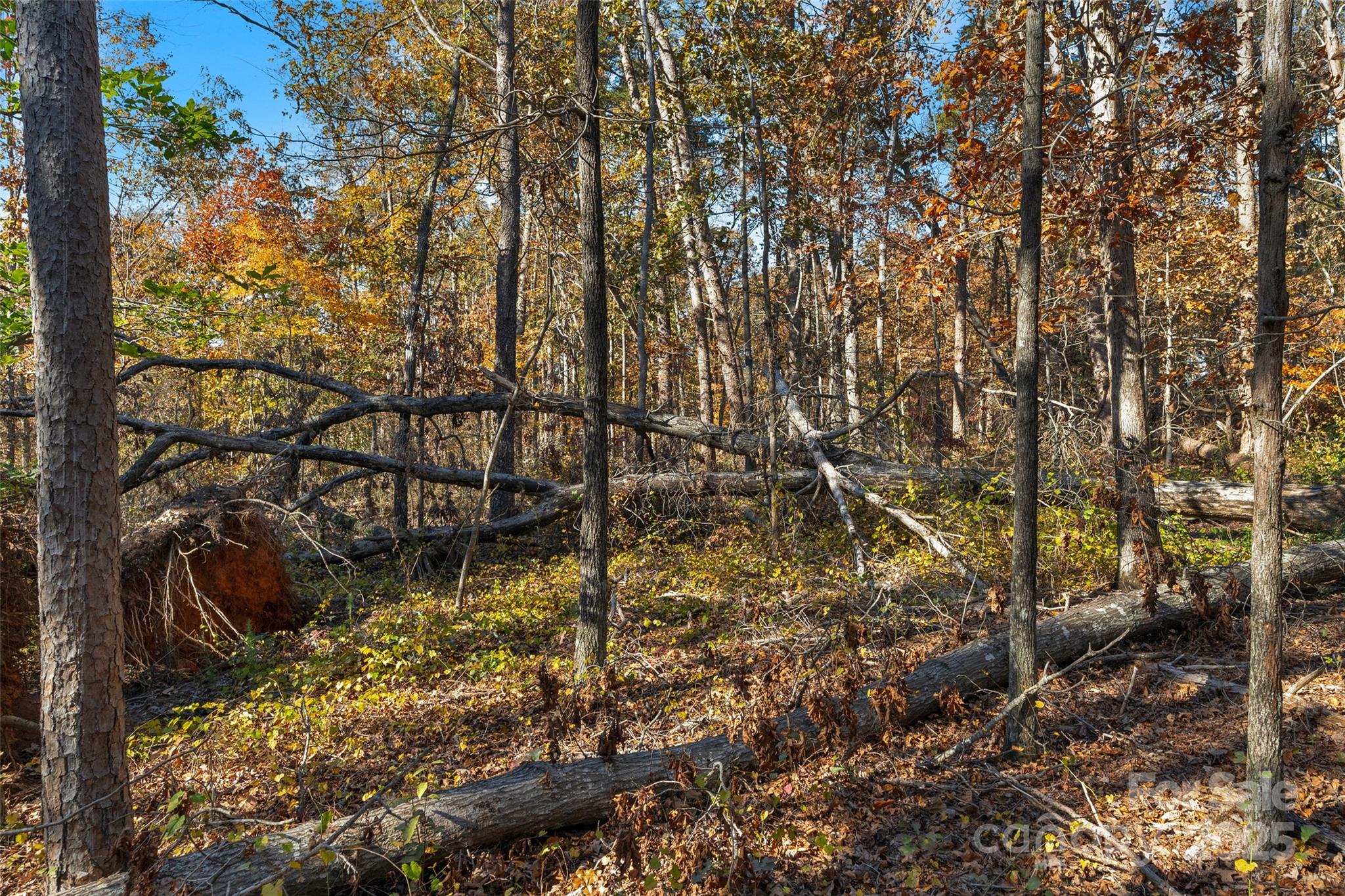 0 Bud Davis Road, Unit 2 Vale, NC 28168 - Photo 19 of 28 a view of a yard with large trees