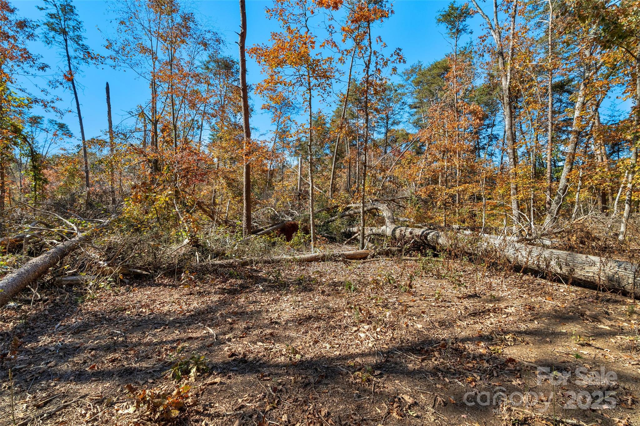0 Bud Davis Road, Unit 2 Vale, NC 28168 - Photo 21 of 28 a view of a yard with large trees
