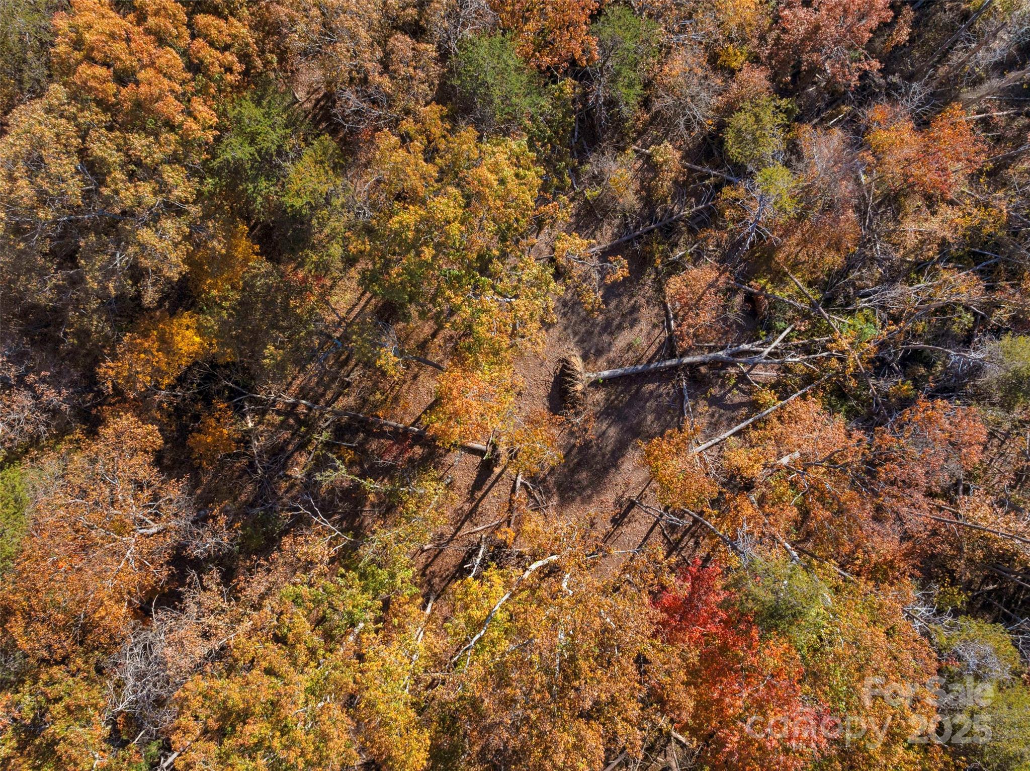 0 Bud Davis Road, Unit 2 Vale, NC 28168 - Photo 24 of 28 a view of a tree