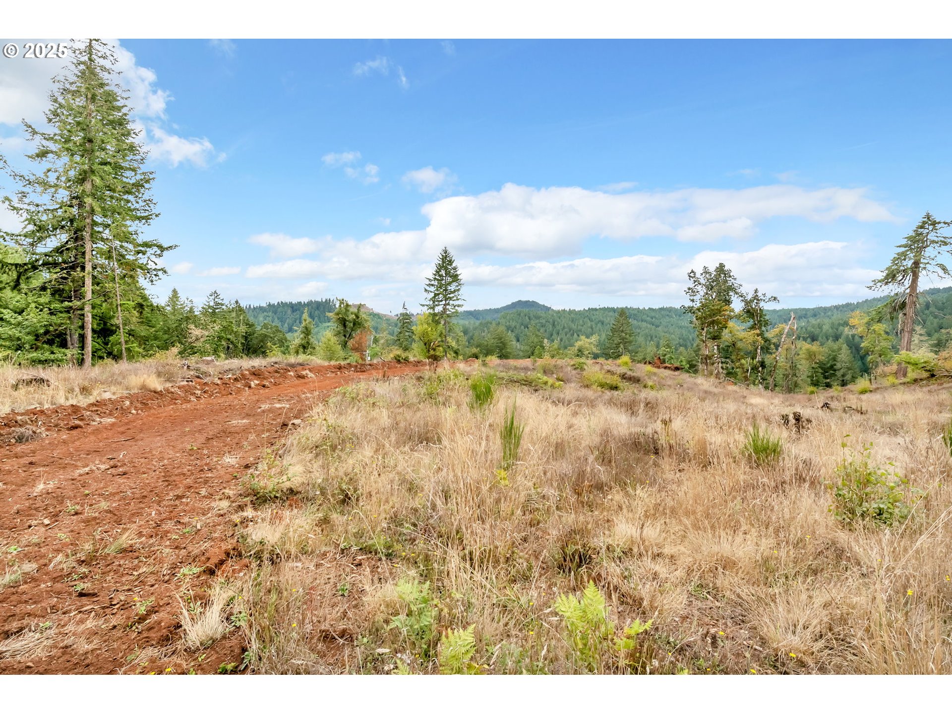 0 Sutherlin Lane, Unit 1100 Eugene, OR 97405 - Photo 14 of 42 a view of a yard and mountain view in back