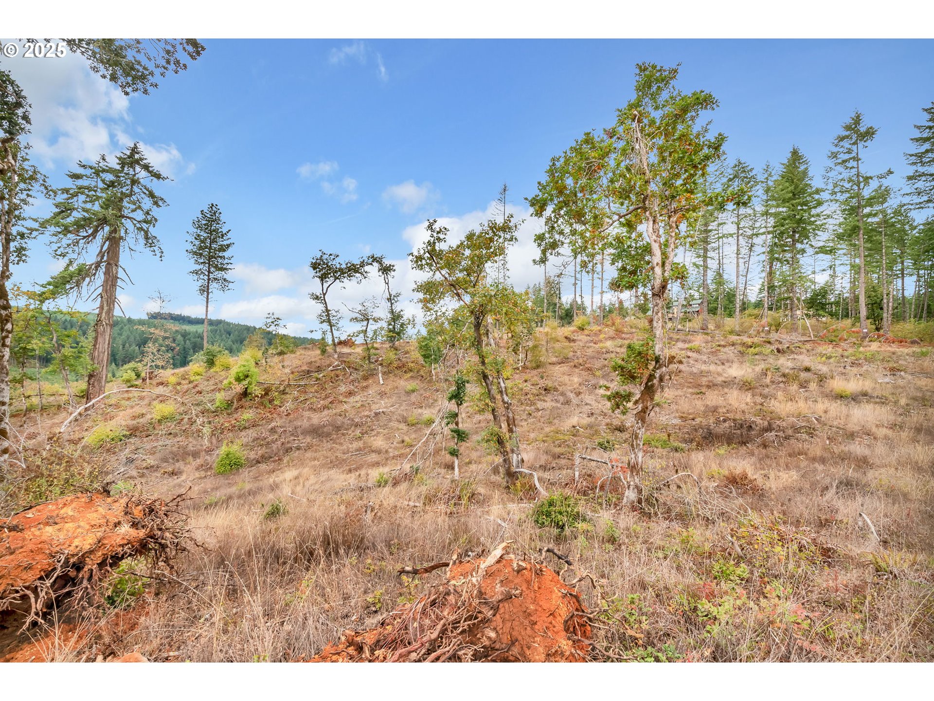 0 Sutherlin Lane, Unit 1100 Eugene, OR 97405 - Photo 17 of 42 a view of a yard