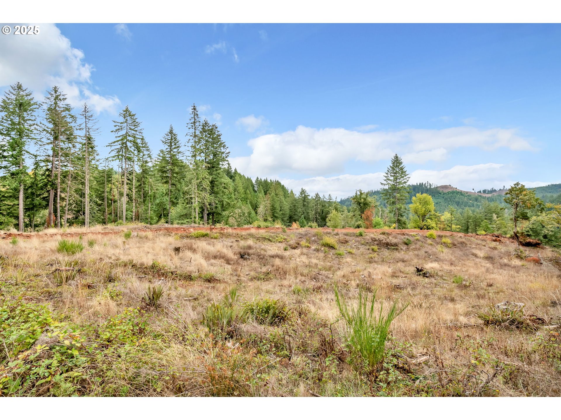 0 Sutherlin Lane, Unit 1100 Eugene, OR 97405 - Photo 19 of 42 a view of mountain covered with trees