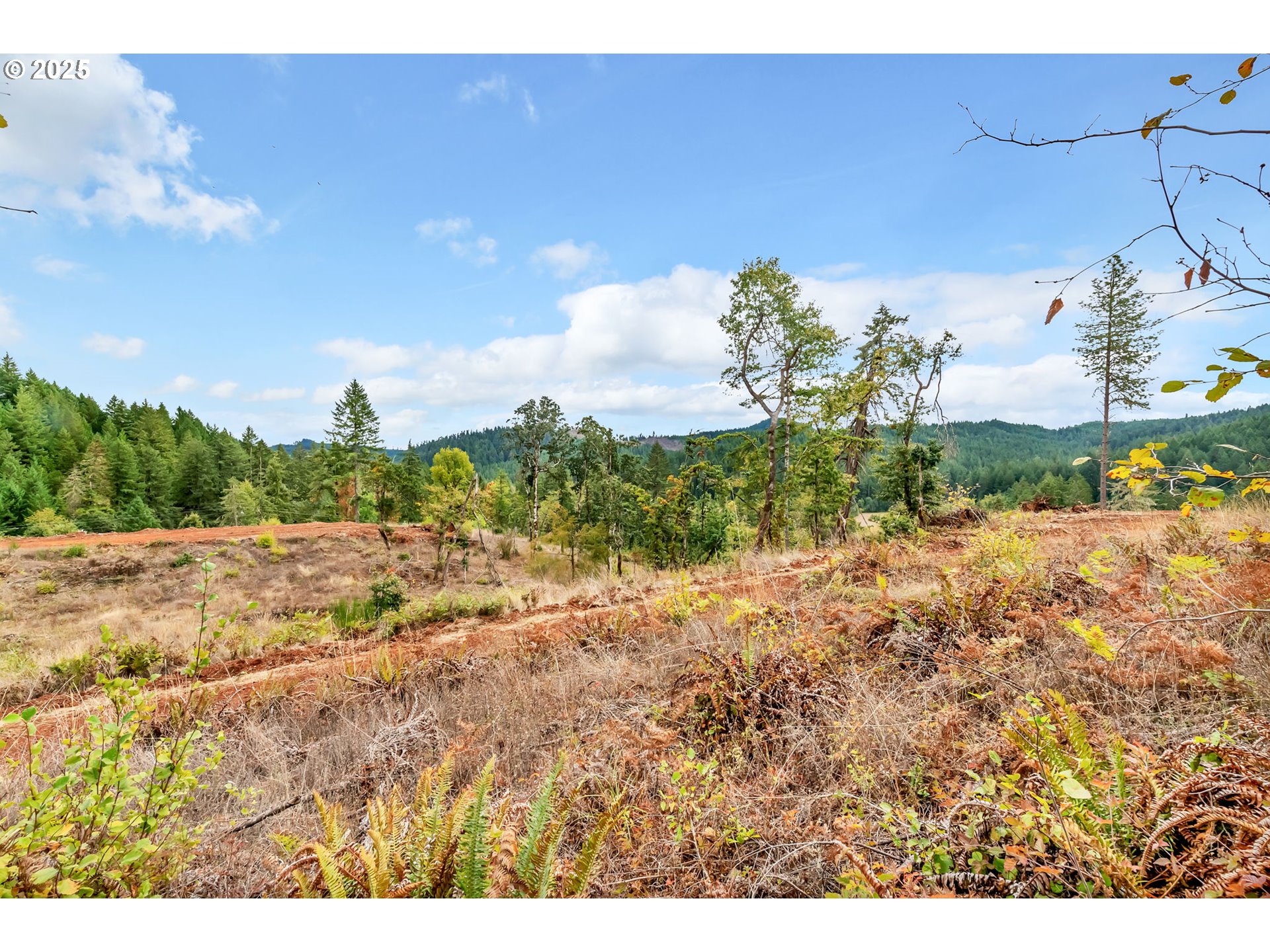 0 Sutherlin Lane, Unit 1100 Eugene, OR 97405 - Photo 26 of 42 a view of a yard