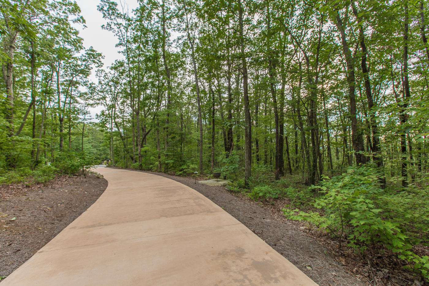 326 Shivas Crest Rising Fawn, GA 30738 - Photo 36 of 57 Driveway