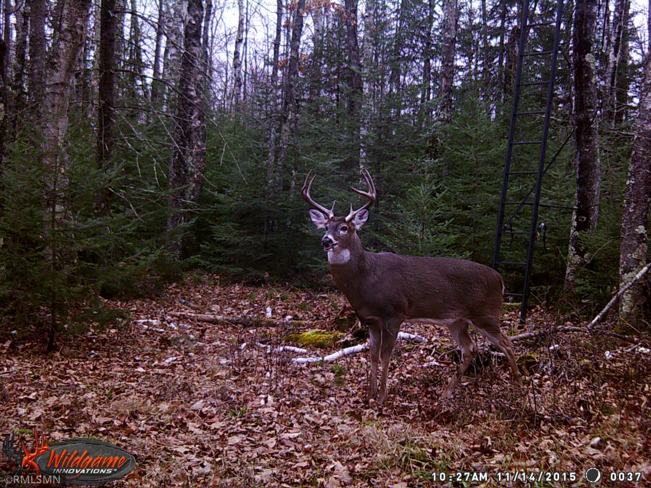 Xx Harlis Road Holyoke, MN 55749 - Photo 1 of 26 Gallery Image 1