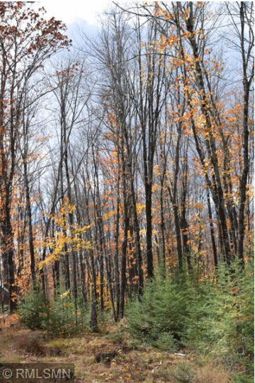 Xx Harlis Road Holyoke, MN 55749 - Photo 2 of 26 Gallery Image 2