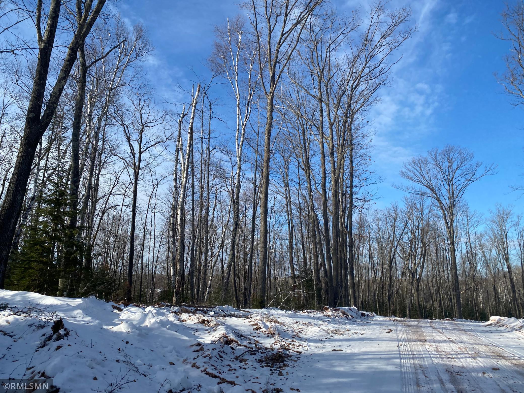 Xx Harlis Road Holyoke, MN 55749 - Photo 16 of 26 Gallery Image 16