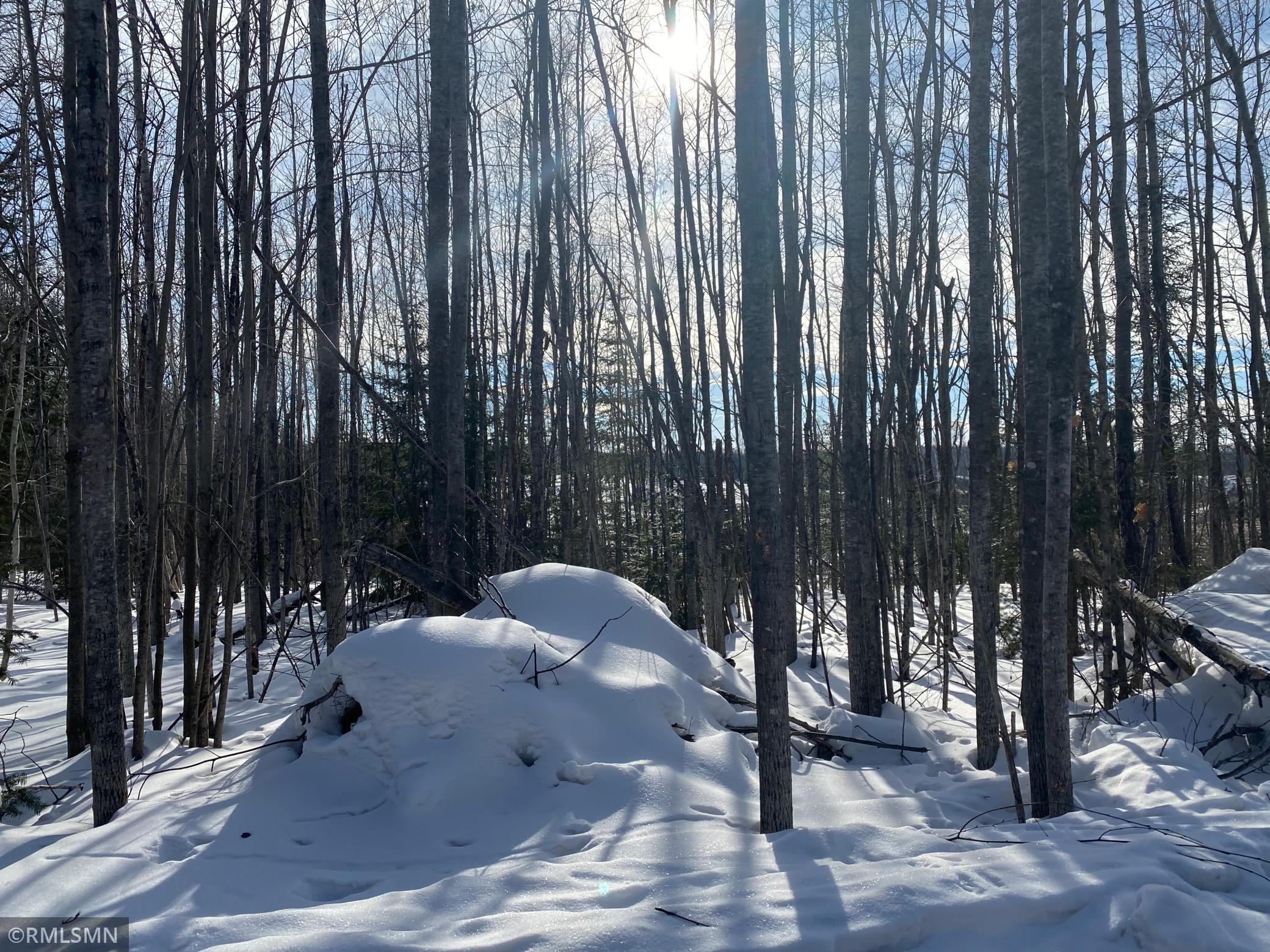Xx Harlis Road Holyoke, MN 55749 - Photo 20 of 26 Gallery Image 20