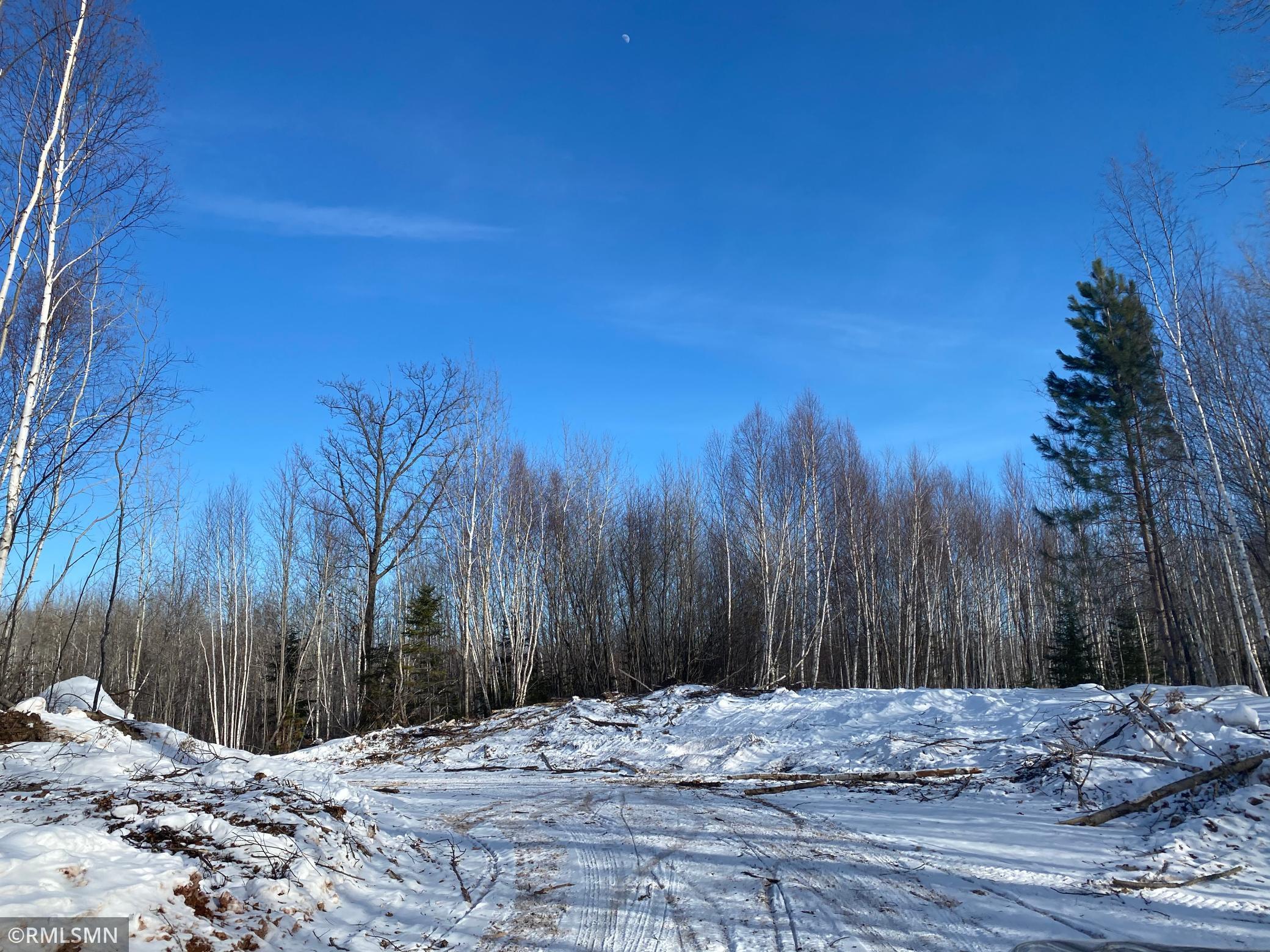 Xx Harlis Road Holyoke, MN 55749 - Photo 8 of 26 Gallery Image 8