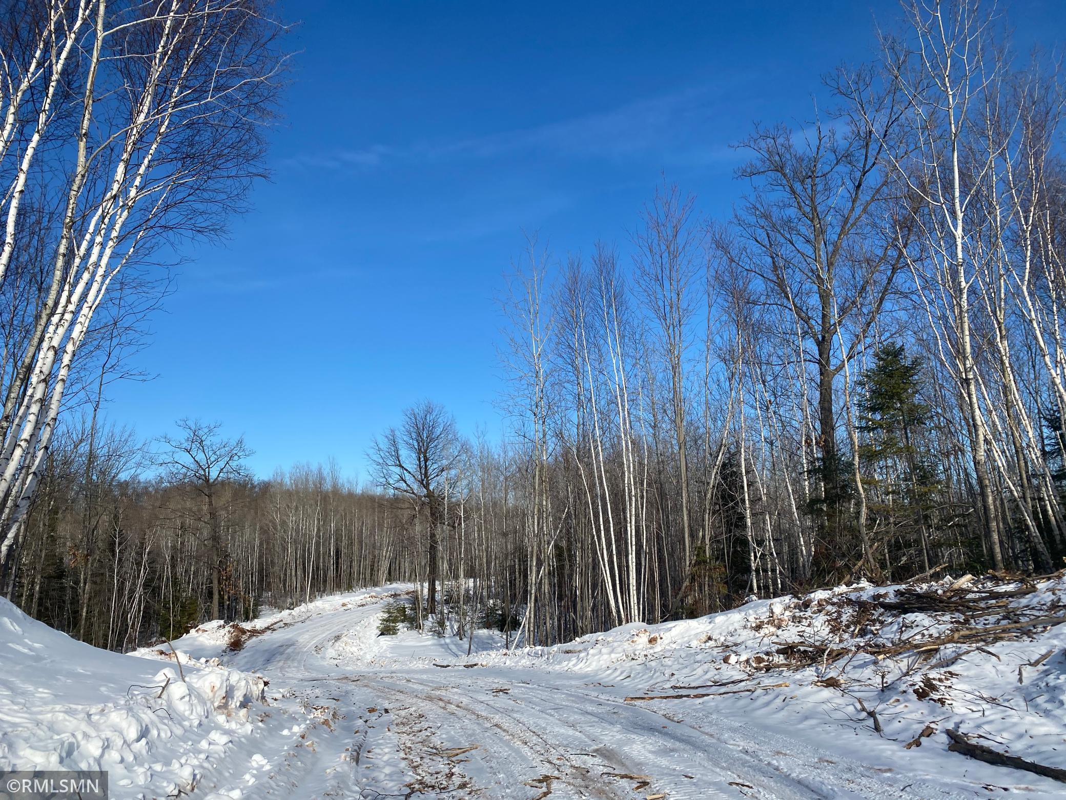 Xx Harlis Road Holyoke, MN 55749 - Photo 9 of 26 Gallery Image 9