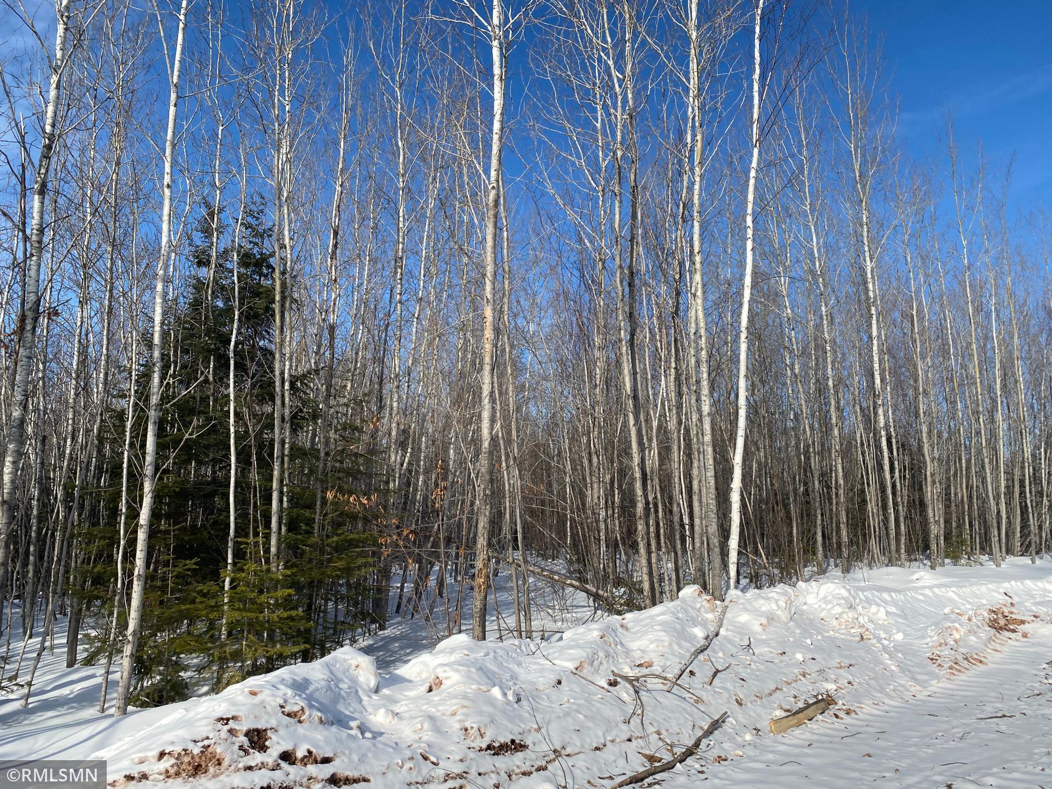 Xx Harlis Road Holyoke, MN 55749 - Photo 10 of 26 Gallery Image 10